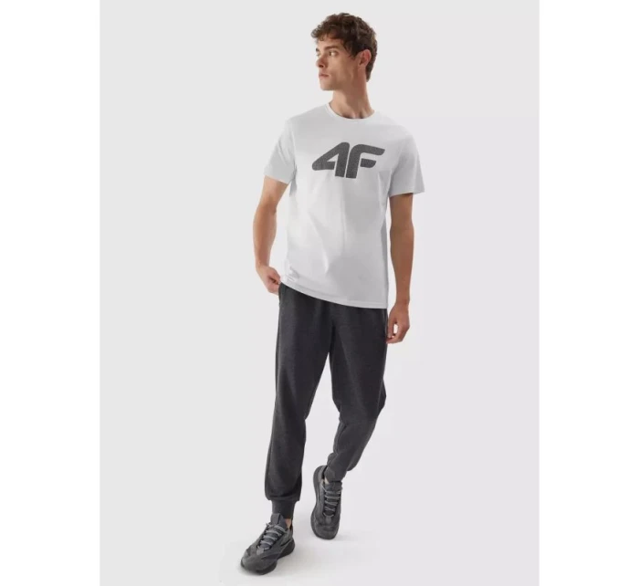 Tričko M model 21425007 pánské - 4F Tričko M model 21425007 pánské - 4F