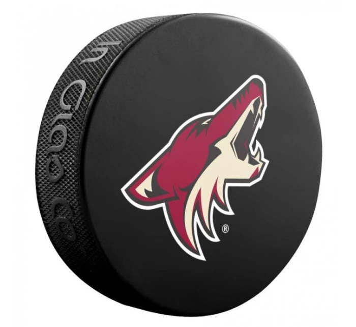 Pamětní hokejový puk Inglasco NHL Basic 510AN000400