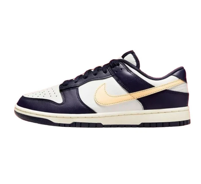 Pánské boty Nike Dunk Low Retro FV8106-181 Pánské boty Nike Dunk Low Retro FV8106-181