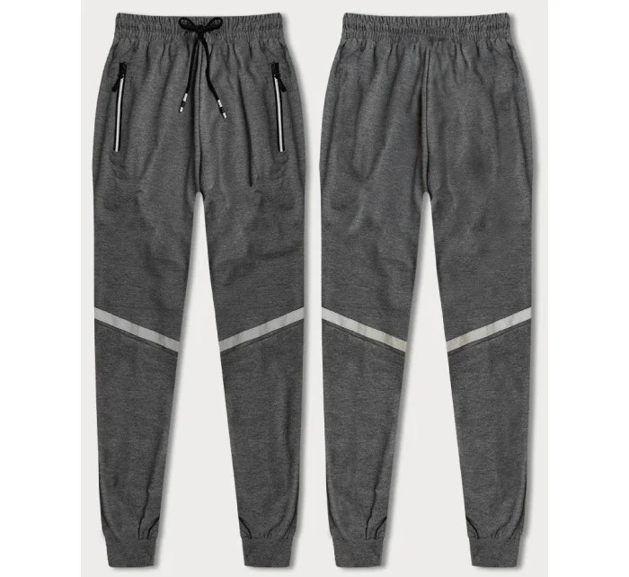 Šedé pánské teplákové kalhoty s prvky model 18612043 - J.STYLE