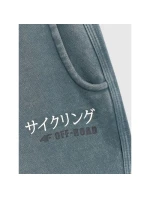 Chlapecké tepláky model 21816944 - 4F Chlapecké tepláky model 21816944 - 4F