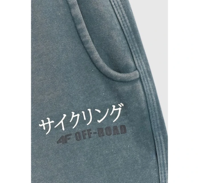 Chlapecké tepláky model 21816944 - 4F Chlapecké tepláky model 21816944 - 4F