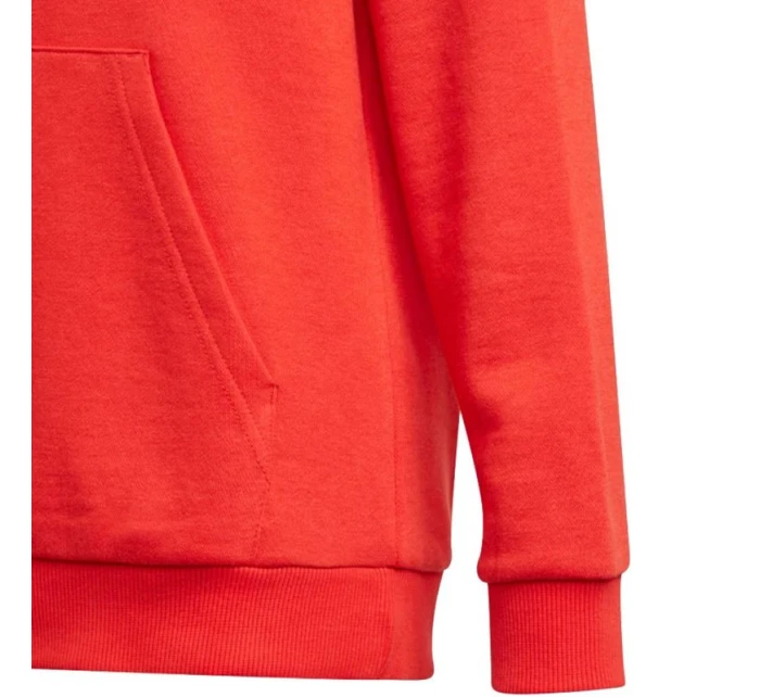 Dětská mikina Essentials Big Logo Hoodie Jr GN4037 - Adidas