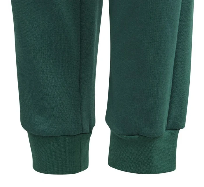 Adidas BLUV Q3 Pant Jr IA1553