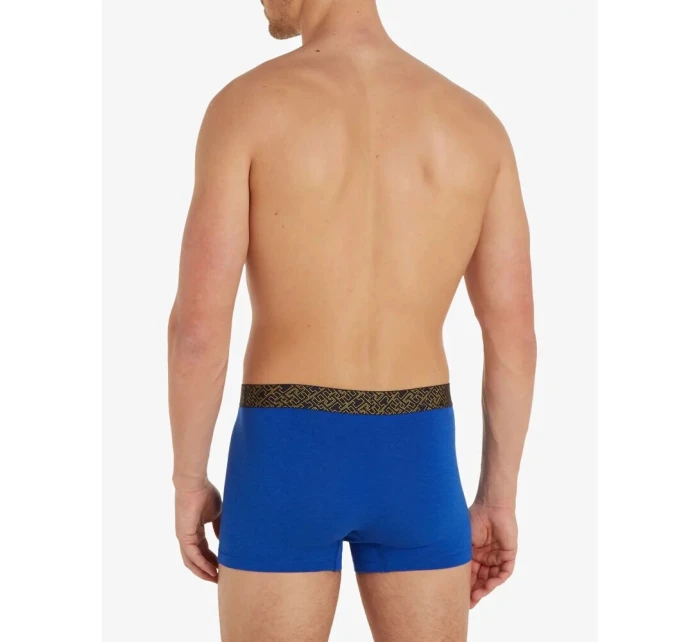 Pánské boxerky 3PACK   model 18990998 - Tommy Hilfiger