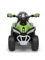 NA  ZIELONY model 21830209