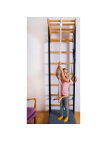 PŘÍSLUŠENSTVÍ PRO CVIČENÍ BENCHK DUB A076