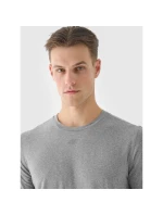 Pánské pravidelné rychleschnoucí tréninkové tričko 4F 4FWAW24TFTSM1003-25M