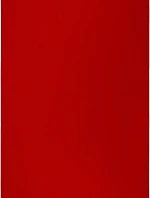 The One Towelling Classic 100 Plážová osuška "Classic" 48.1001 red