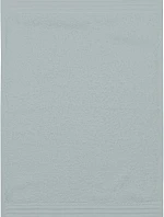 The One Towelling Guest 30x50 Ručník pro hosty 48.1003 light grey