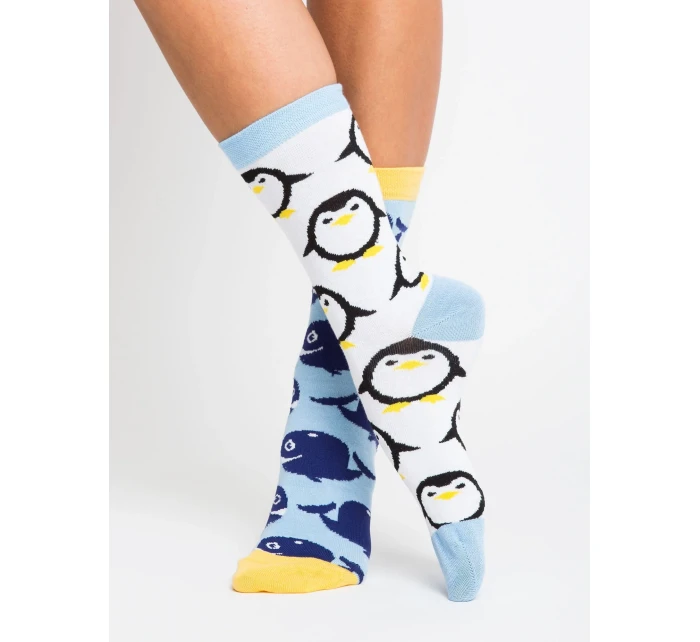 Ponožky WS SR 5542.08X vícebarevné