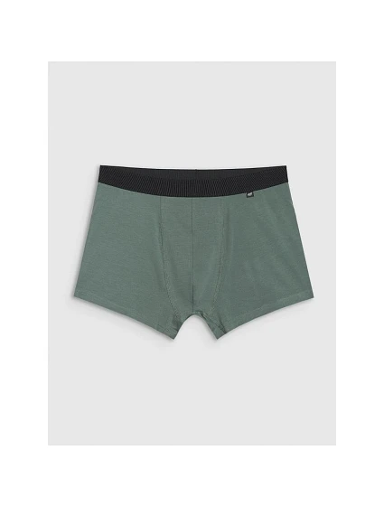 Pánské boxerky (2 balení)  92S model 21437491 - 4F