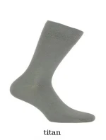 Pánské ponožky model 19409148 Elegant - Wola