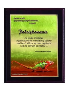 Plastový diplom s barevným dotykovým laminátem