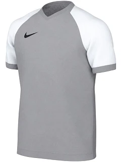 Dětské tričko Nike Dri-FIT Trophy VI, šedé, HV8158 012
