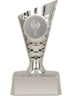 Stříbrný plastový kelímek model 21827498