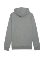 Mikina Puma Team Goal Casuals Hoody M 658618 33 pánské