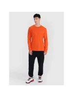 Pánské oversize hladké tričko s dlouhým rukávem 4F 4FRSS25TLONM518-70S pánské Pánské oversize hladké tričko s dlouhým rukávem 4F 4FRSS25TLONM518-70S pánské