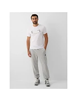 T-shirt slim z nadrukiem męski 4F 4FRAW26TTSHM4666-10S T-shirt slim z nadrukiem męski 4F 4FRAW26TTSHM4666-10S