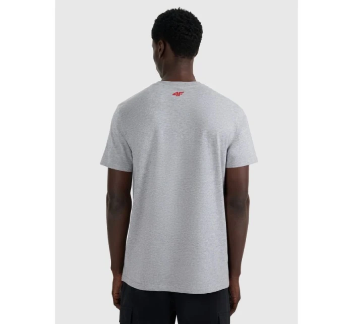 Pánské tričko s potiskem 4F 4FRAW25TTSHM3364-27M