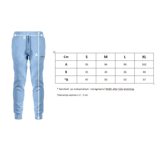 Kalhoty W model 20907370 - Masters