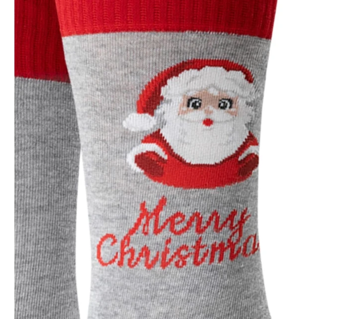 Pánské ponožky 136 167 - Steven