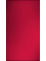 The One Towelling Recycled 100 Plážový ručník "Recycled" 48.1061 bandera red The One Towelling Recycled 100 Plážový ručník "Recycled" 48.1061 bandera red