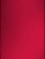 The One Towelling Recycled 100 Plážový ručník "Recycled" 48.1061 bandera red