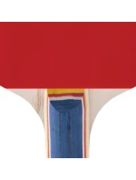 Raketa na stolní tenis Training Pro FL model 21363427 - Spokey