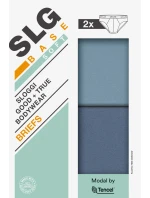 ZÁKLADNÍ MĚKKÝ BRIEF C2P