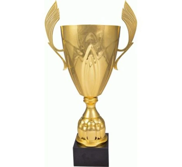 Zlatý kovový pohár model 21827628 Zlatý kovový pohár model 21827628