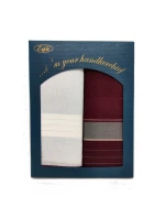 Pánský kapesník Ega CH-840 A'2