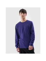 Pánské hladké tričko s dlouhým rukávem model 21432190 pánské - 4F Pánské hladké tričko s dlouhým rukávem model 21432190 pánské - 4F
