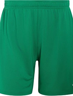 Dámské šortky adidas Entrada 26 green JZ2539 dámské