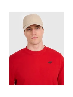 Pánská mikina s kapucí bez model 21437401 - 4F