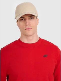 Pánská mikina  s kapucí bez model 21437401 - 4F