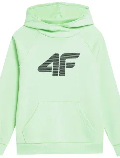 Dětská mikina Jr   model 18338772 - 4F