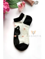 model 22021227 - Magnetis