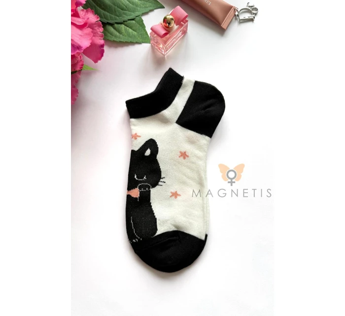 model 22021227 - Magnetis