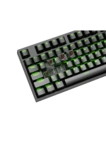 HERNÍ KLÁVESNICE GENESIS THOR 404 TKL US RGB PODSVÍCENÍ MECHANICKÁ ČERNÁ KAILH BOX HNĚDÁ HERNÍ KLÁVESNICE GENESIS THOR 404 TKL US RGB PODSVÍCENÍ MECHANICKÁ ČERNÁ KAILH BOX HNĚDÁ