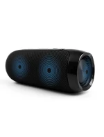 BLUETOOTH  FM   USB-C model 21861629