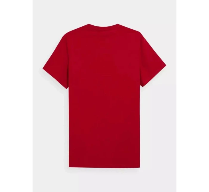 Tričko 4F M 4FSS23TTSHM539-62S pánské