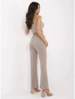 Spodnie DHJ SP model 21034975 ciemny bezowy - FPrice