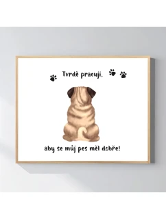 Personalizovaný plakát v rámu - 40x50 - ilustrace zvířátka