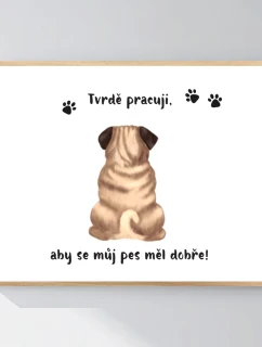 Personalizovaný plakát v rámu - 40x50 - ilustrace zvířátka