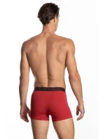 SZORTY MĘSKIE model 20720887 2pack - Lama