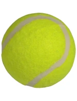 model 21825952 - Enero