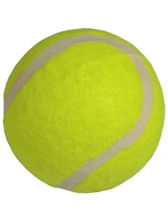 model 21825952 - Enero