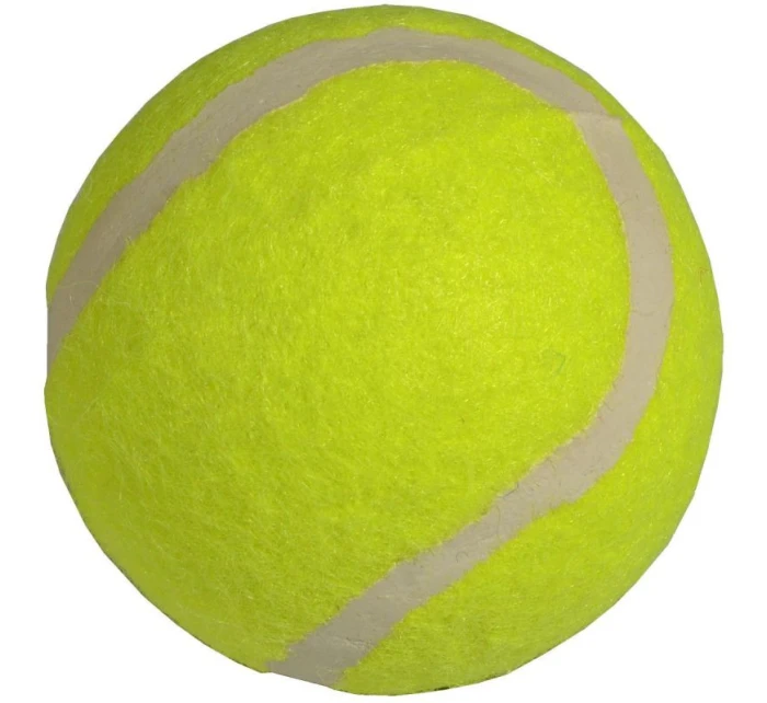 model 21825952 - Enero