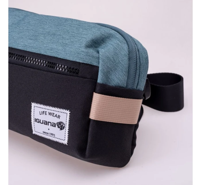 model 21355968 - Iguana